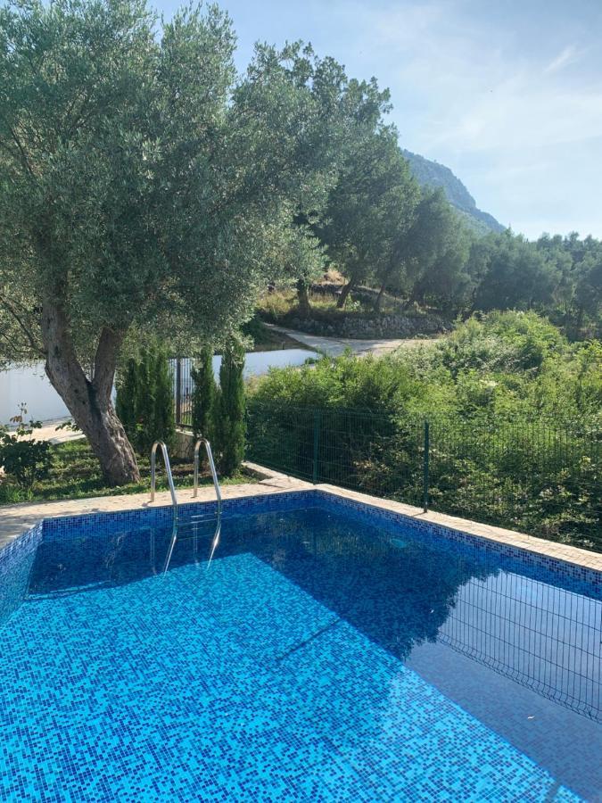 Green Villa In Olives Bar Luaran gambar